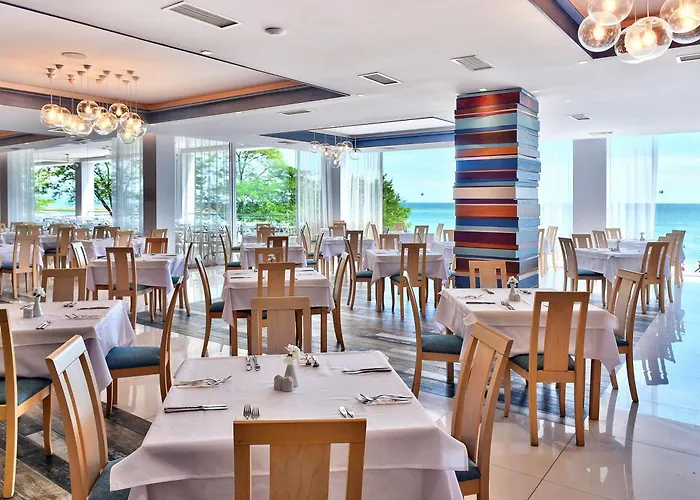 Grifid Encanto Nisipurile de Aur