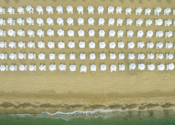 酒店 Grifid Encanto 4*